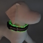 Preview: Halsband Safety - schwarz, Neongelb, reflektierend und fluoreszierend!